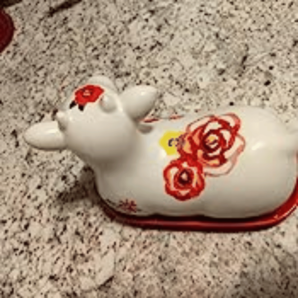 Pioneer Woman Butter Dish!