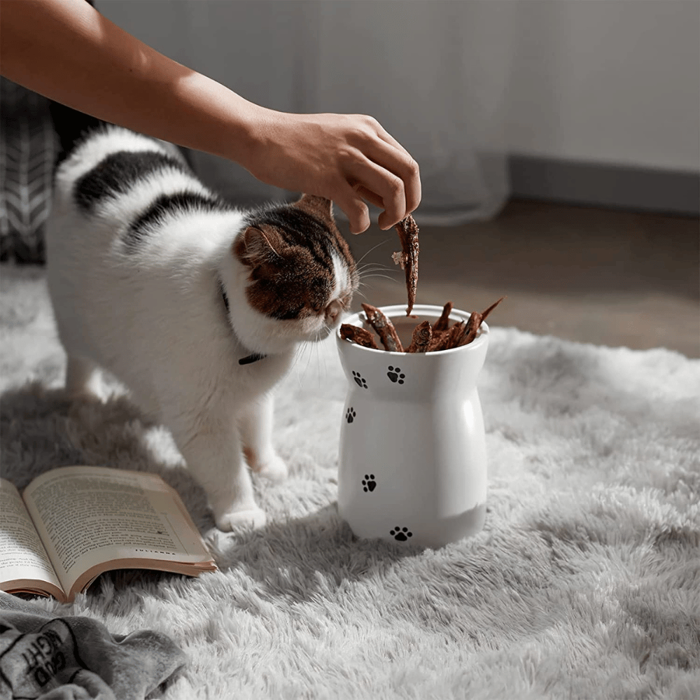 Dog Cookie Jar!