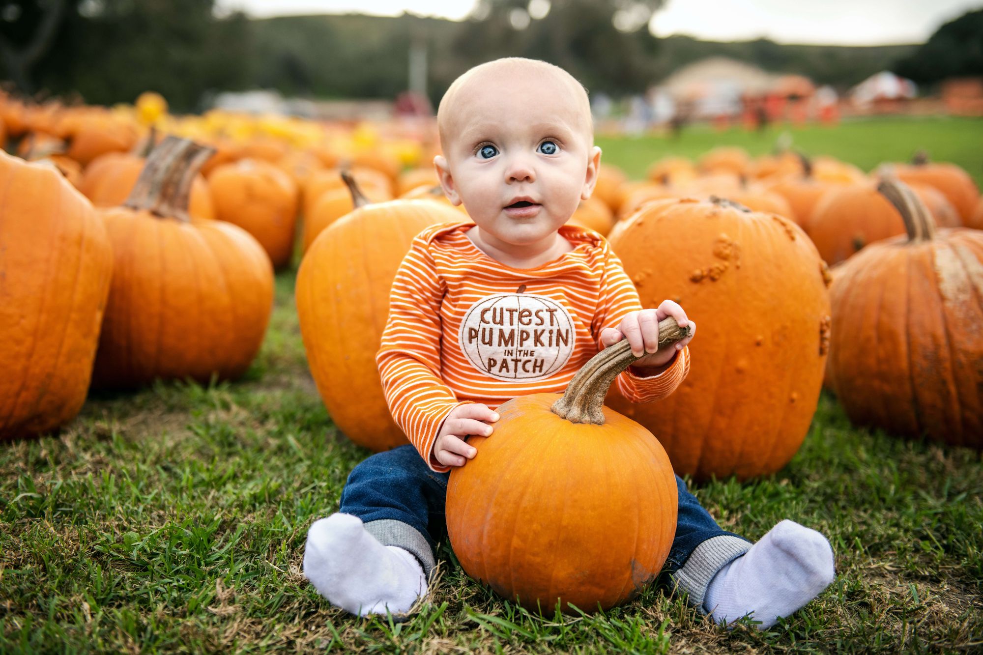 Baby in Pumpkin Patch!