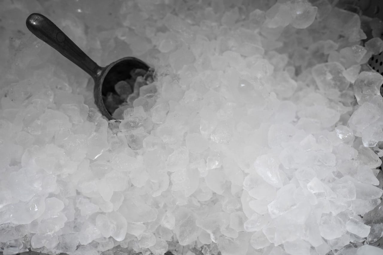 Can a Ninja Food Processor Chop Ice?