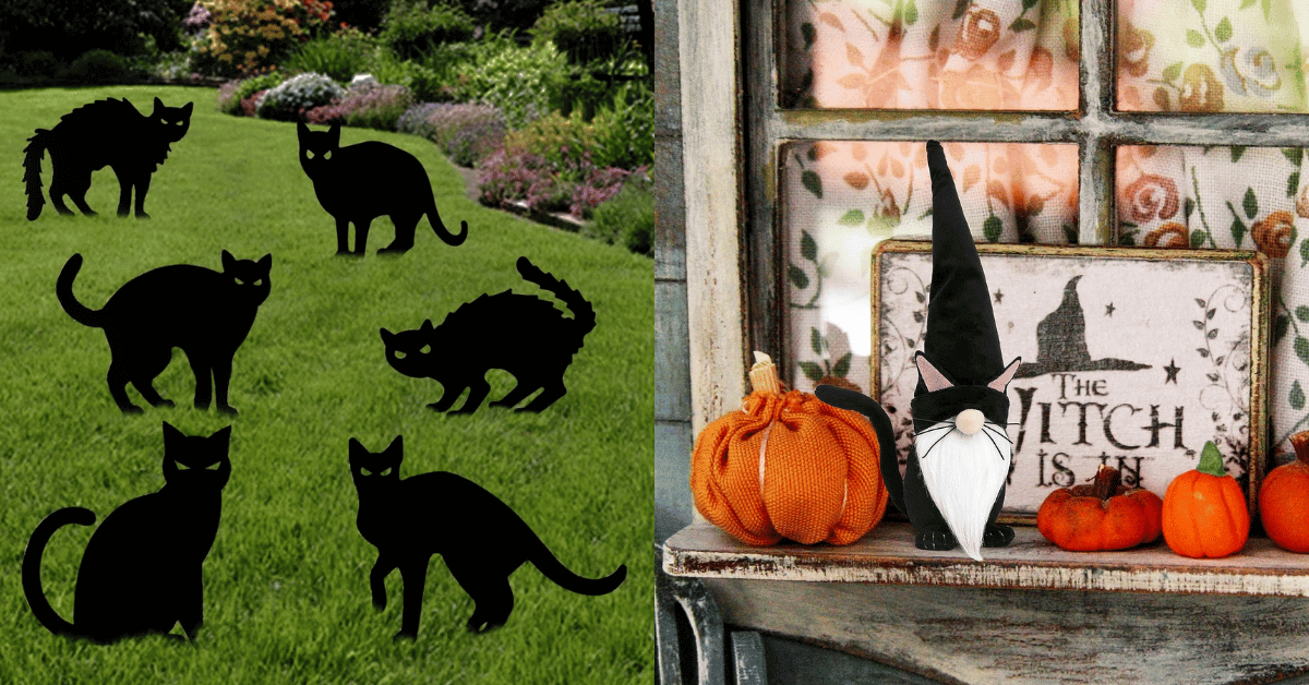 Black Cat Halloween Decorations!