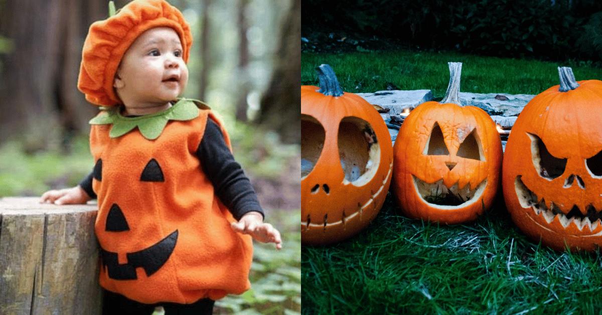 Baby Pumpkin and Pumpkins!