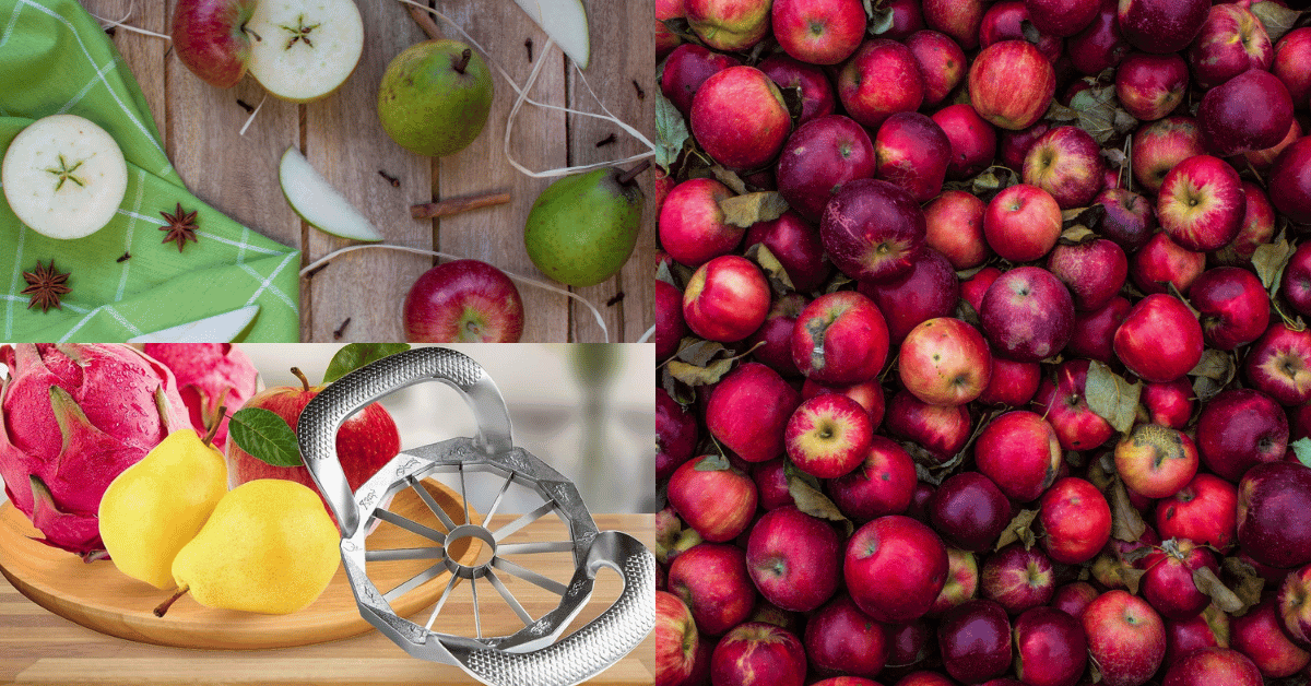 Say Goodbye to Tedious Cutting: an Ultimate Apple Slicer!