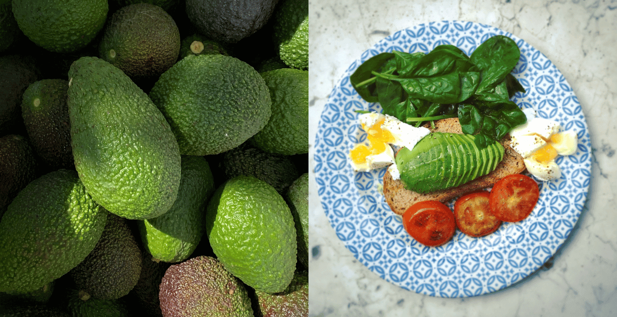 How Does an Avocado Keeper Work?